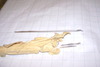 DSC00349.JPG