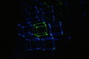 DSC00554.JPG