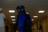 DSC00946.JPG
