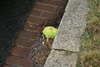 DSC01239.JPG