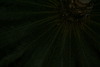 DSC01836.JPG