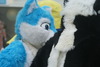 DSC02619.JPG