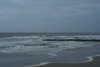 DSC02727.JPG