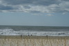 DSC02741.JPG