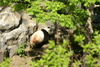 DSC02906.JPG