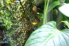 DSC03046.JPG