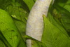 DSC03058.JPG