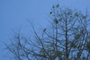 DSC03210.JPG