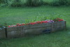 DSC03223.JPG