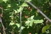 DSC03243.JPG