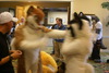 DSC03643.JPG