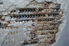 DSC03689.JPG