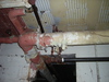 IMGP2171.JPG