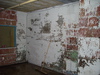 IMGP2184.JPG