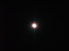 imgp0226.jpg