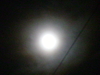 imgp0393.jpg