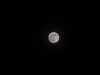 imgp0408.jpg