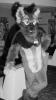 AA_Hyena.pgm