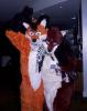 beau_jackal_kelix.ppm