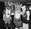 dragons_and_wolf.pgm
