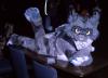 moneycat.ppm