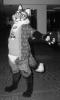 orion_fox.pgm