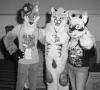 atu_shadowcat_sylen.pgm