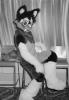 cat_dragon.pgm