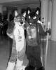 avery_and_unknown.ppm.pgm