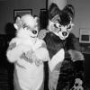 pair_1.pgm