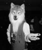 kiba.pgm