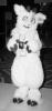 snowball.pgm