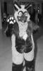 unknown_canine.pgm