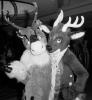 antlers.pgm