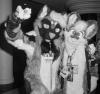 turnit_up_catrick.pgm