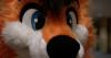 chase_fox.ppm