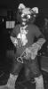 goggle_cat.pgm