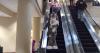 safe_escalator.ppm