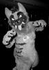 furry_ska_weekend.pgm