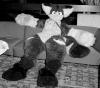 hug.pgm