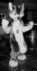 unknown_01.pgm