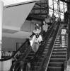 escalator.pgm