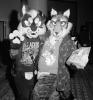 saeu_ani_fox.pgm