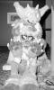 totem_pole.pgm