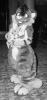 unknown_0.pgm