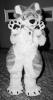 jazz_paws.pgm