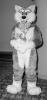 unknown_1.pgm