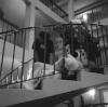 stairs.pgm