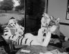 tiger_fox.pgm