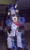 biker_bear.ppm